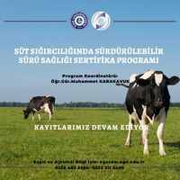 Süt Sığırcılığında Sürdürülebilir Sürü Sağlığı Eğitimi Sertifika Programı